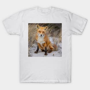 Red Fox Sitting T-Shirt